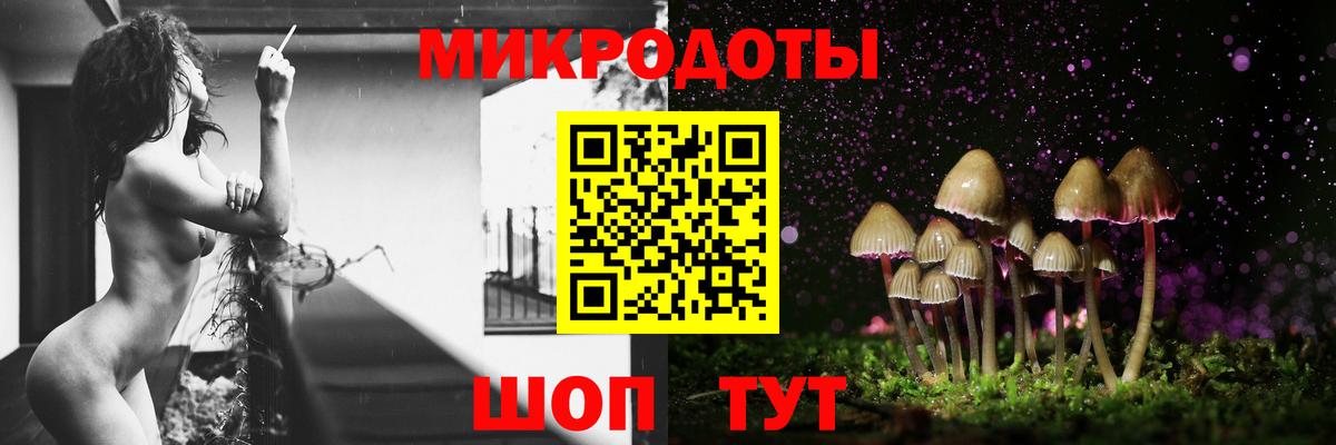 Галлюциногенные грибы Psilocybe Гуково