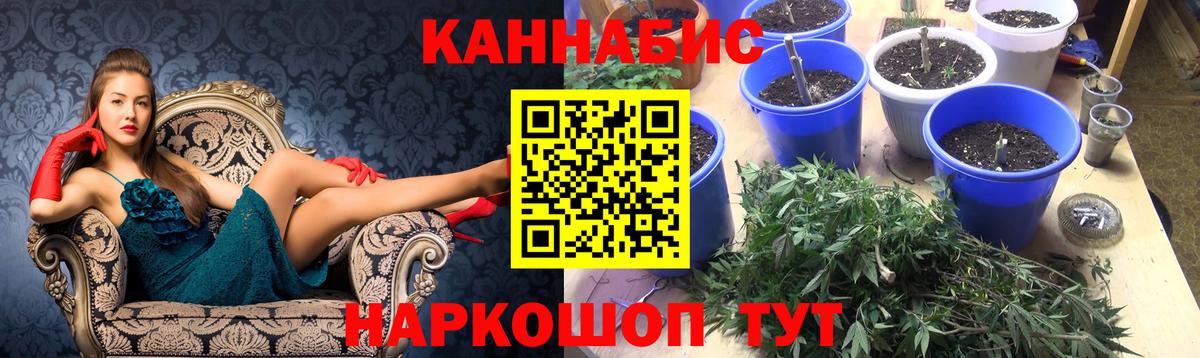 Шишки марихуана Amnesia  Канабис White Widow  Вход с VPN  МАРИХУАНА гибрид  Гуково 